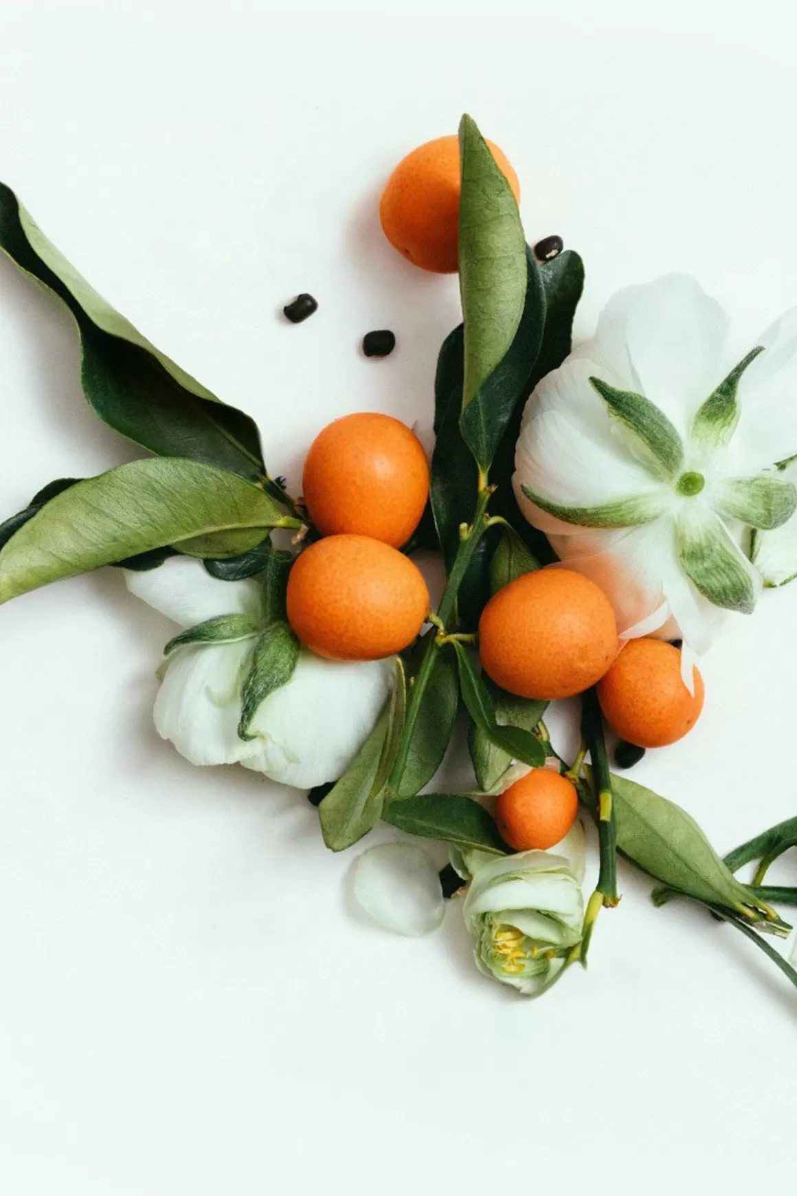 Neroli Body Cleansing Bar>CORPUS Discount